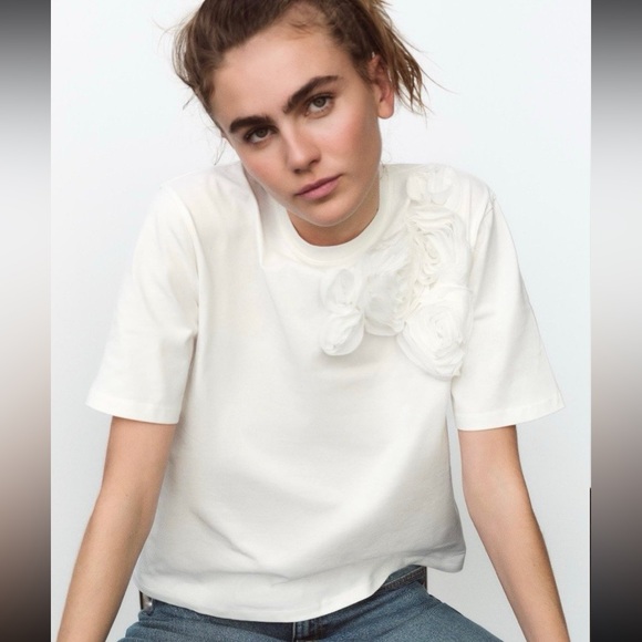 ZARA NWT Organza mesh 3D Floral Top Size M
Casual cottage spring tshirt - Picture 1 of 9